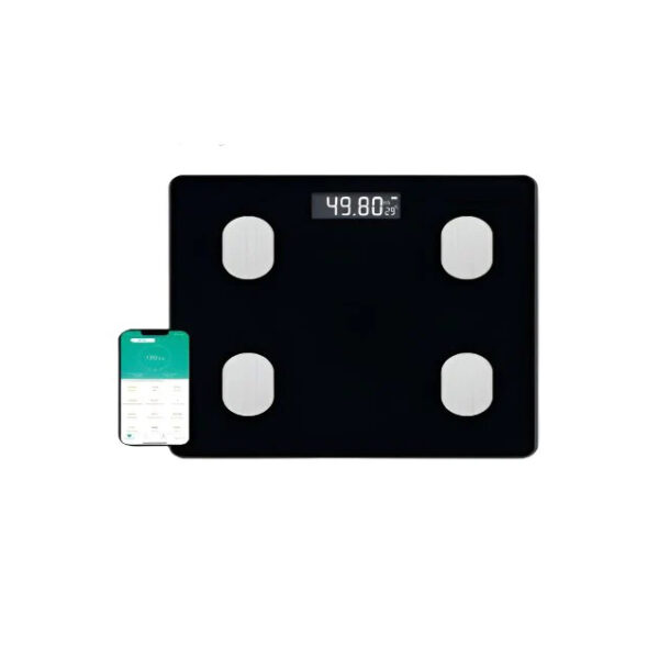 Digital Body Scale