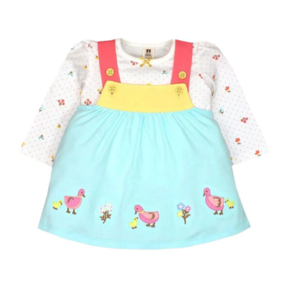 Knitted Embroidery Frock