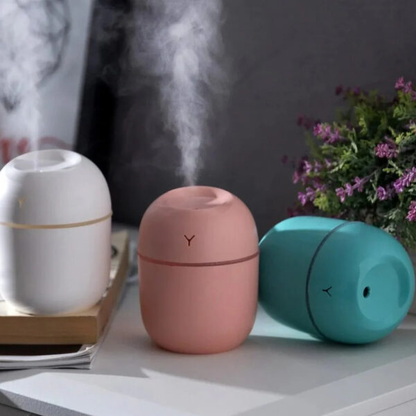 Egg Shaped Humidifier