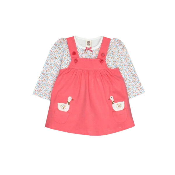 Baby Frock Bliss