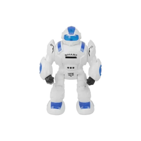 RC Robot