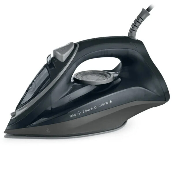 Professional Steam Iron