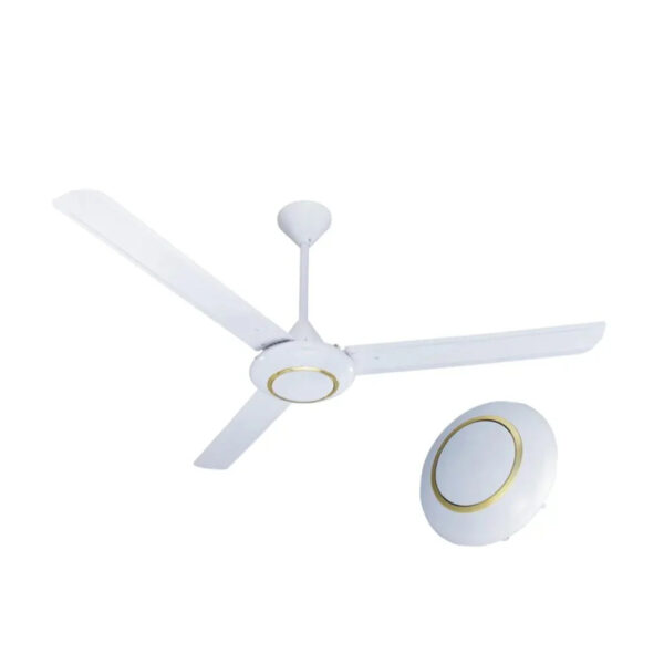 Electric Ceiling Fan ©