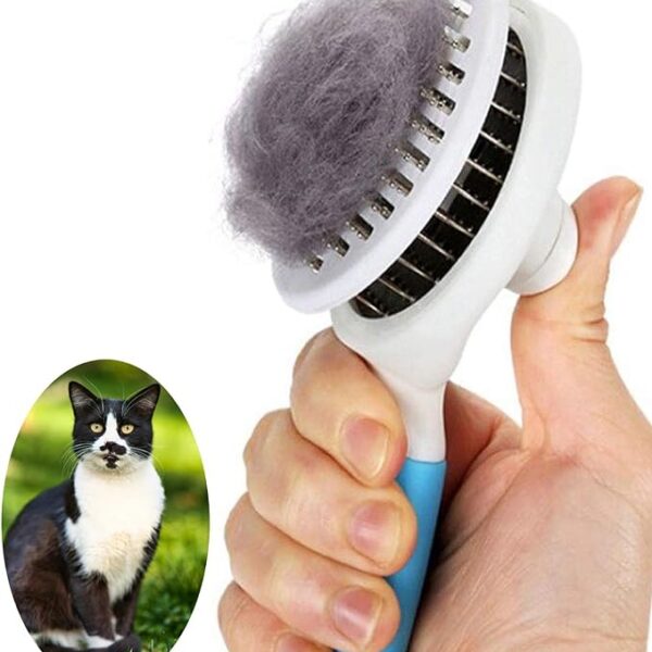Pets Cleaning Brush