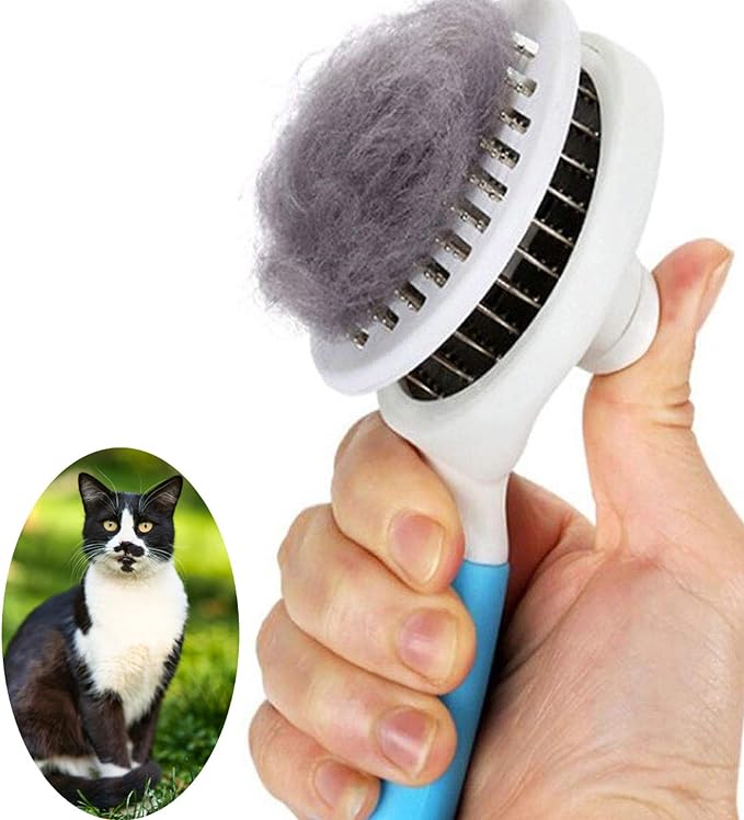 pets-cleaning-brush-153620